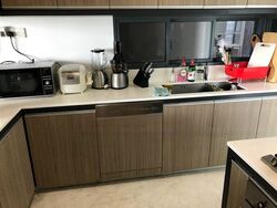 The Trizon (D10), Condominium #467800891